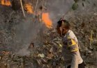 Gerak-Cepat-Polsek-Miomaffo-Barat-Padamkan-Kebakaran-Hutan-di-Desa-Haulasi,-Seluas-2-Hektare-Terdampak