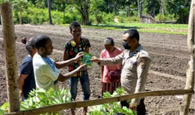 Sat-Binmas-Polres-TTU-Beri-Bibit-Sayur-Untuk-Petani