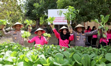 Inovasi-Baru,-Polres-TTU-Buat-Percontohan-Kebun-Hidroponik