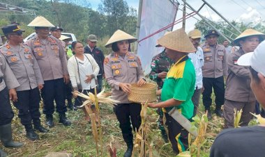 Polres--TTU-Gelar-Panen-Raya-Jagung-Serentak-Mendukung-Ketahanan-Pangan-di-Desa-Saenam