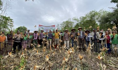 Polres-TTU- Gelar-Panen-Raya-Jagung-Serentak-Kuartal-II-di-Desa-Usapinonot,-Presiden-Prabowo-Buka-Secara-Virtual 