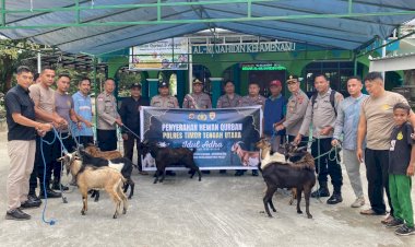 Wujudkan-Polri-Presisi,-Polres-TTU-Bagikan-Hewan-Qurban-ke-Sejumlah-Masjid-di-TTU-Jelang-Perayaan-Idul-Adha-1446-H