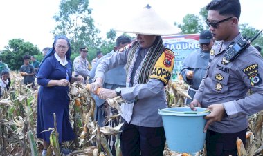 Panen-Jagung-Melimpah,-Warga-Kelompok-Tani-Sehati-Usulkan-Sumur-Bor-Bantuan-Kapolda-NTT