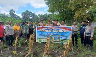 Panen-Jagung-Simbolis-di-Letmafo,-Polres-TTU-Perkuat-Ketahanan-Pangan-Nasional