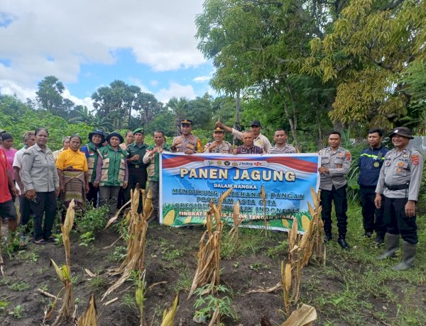 Panen Jagung Simbolis di Letmafo, Polres TTU Perkuat Ketahanan Pangan Nasional