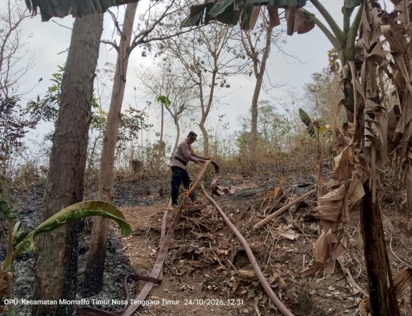 Respons Cepat Polsek Miomaffo Timur Bersama Warga dan BPBD Padamkan Kebakaran Hutan di Oesena