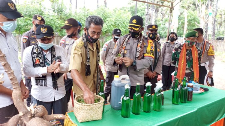 KAPOLRES TTU LAUNCHING DAN RESMIKAN KAMPUNG TANGGUH PENYULINGAN MINYAK KAYU PUTIH DI DESA TUAMESE