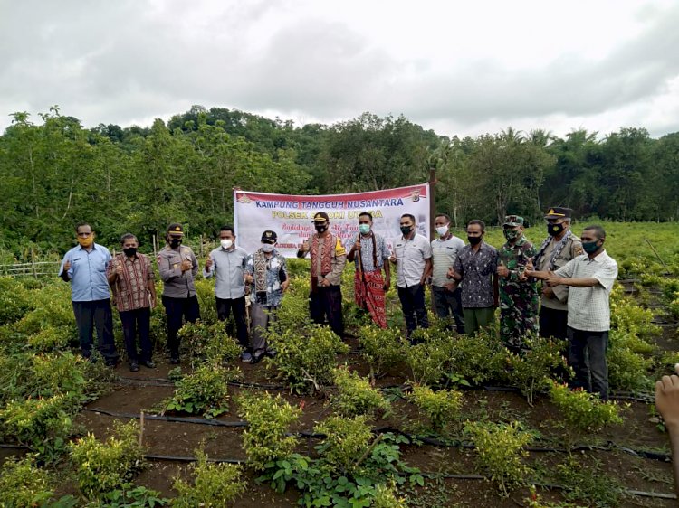 LAUNCHING KAMPUNG TANGGUH KETAHANAN PANGAN NUSANTARA DI DESA LOKOMEA, KECAMATAN BIBOKI UTARA