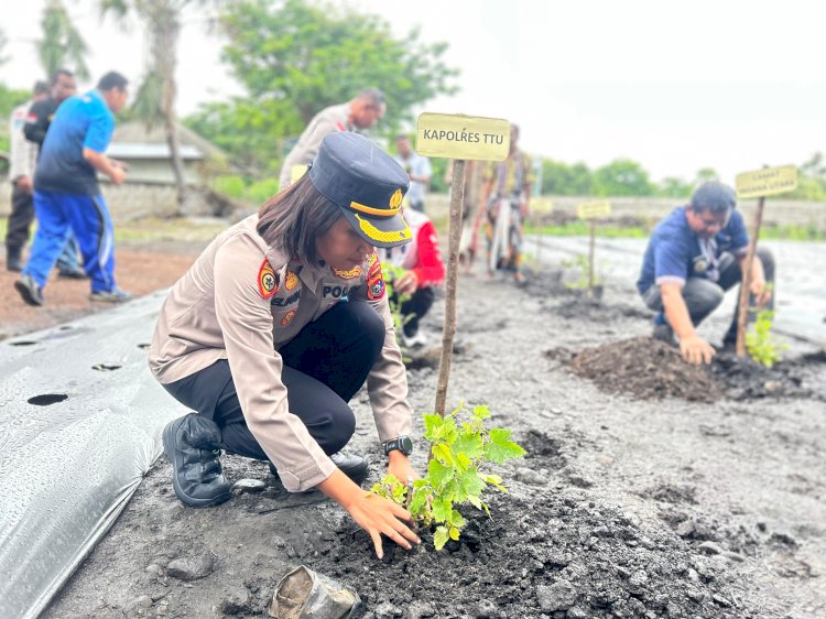 DUKUNG SWASEMBADA PANGAN DENGAN “PEKARANGAN PANGAN BERGIZI”, POLRES TTU BUDIDAYA RIBUAN TANAMAN HOLTIKULTURA.