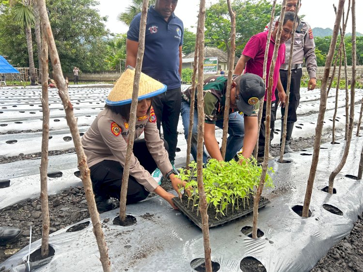 DUKUNG SWASEMBADA PANGAN DENGAN “PEKARANGAN PANGAN BERGIZI”, POLRES TTU BUDIDAYA RIBUAN TANAMAN HOLTIKULTURA.