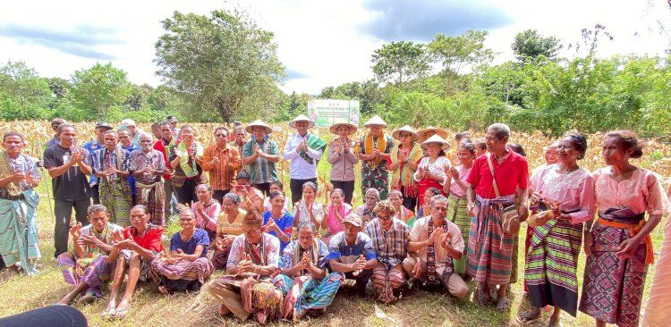 Polres Timor Tengah Utara Gelar Panen Raya Jagung di Desa Letneo Selatan; Sinergi Kelompok Tani, Polri, dan Pemerintah Daerah Tuai Apresiasi Wakil Gubernur NTT