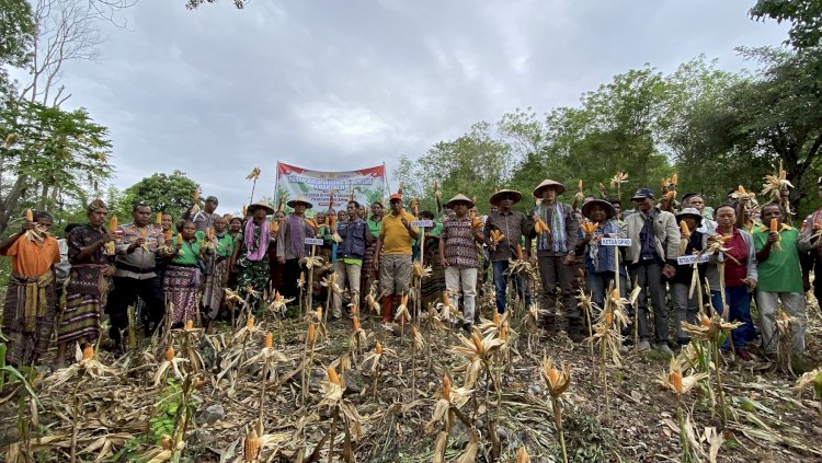 Polres TTU Gelar Panen Raya Jagung Serentak Kuartal II di Desa Usapinonot, Presiden Prabowo Buka Secara Virtual