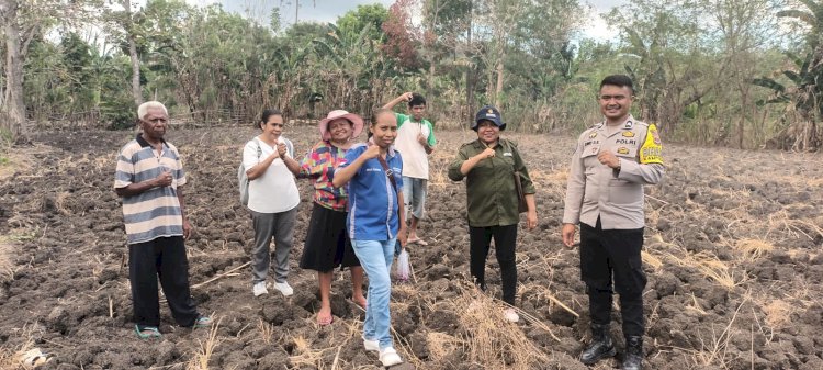 Sinergi Kepolisian dan Petani: Bhabinkamtibmas Bansone Dampingi Kelompok Tani Oefial Cek Lahan Jagung Jelang Musim Hujan