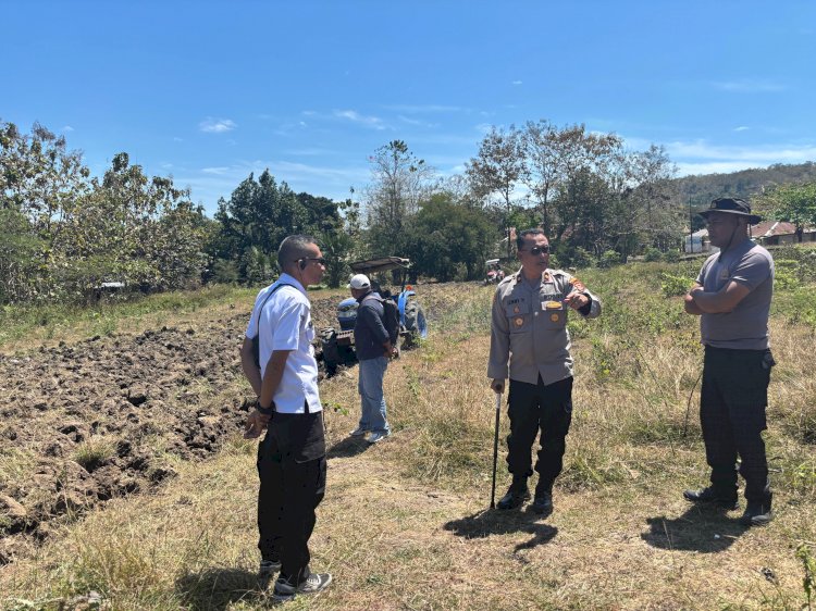 Perkuat Ketahanan Pangan, Polres TTU dan Dinas Pertanian Garap 4 Hektar Lahan Jagung