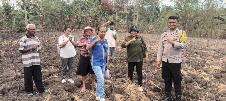 Dukung Program Ketahanan Pangan, Briptu Junio Kadati Gerakkan Kelompok Tani Bansone Olah Lahan Tidur