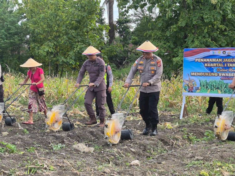 Polres TTU Lakukan Penanaman Jagung Serentak Kuartal I 2026, Dukung Swasembada Jagung
