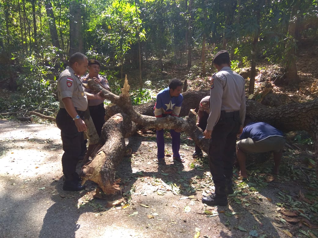 CEGAH KARHUTLA, POLSEK INSUT BERI HIMBAUAN